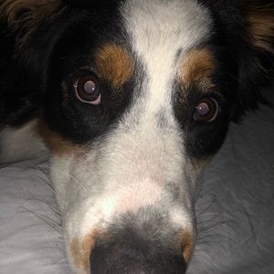 Meet your Posher, Alison